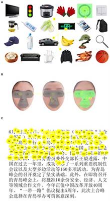 Evaluation of visual performance and eye movements in patients with blue light-filtering intraocular lenses versus ultraviolet light-filtering intraocular lenses